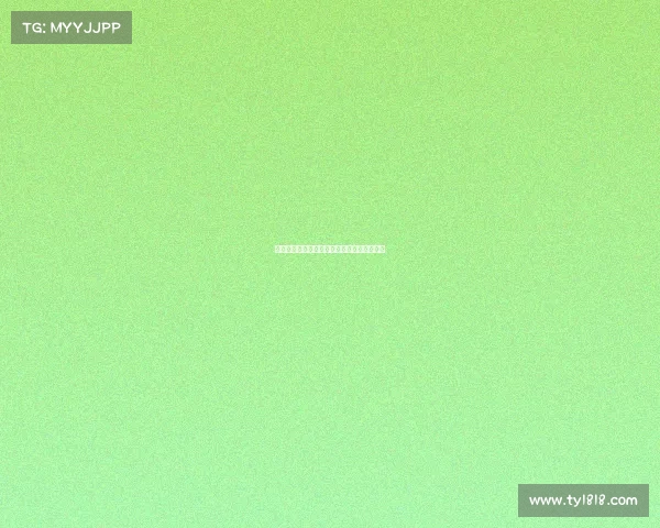 网球比赛用球的设计演变与性能优化研究分析